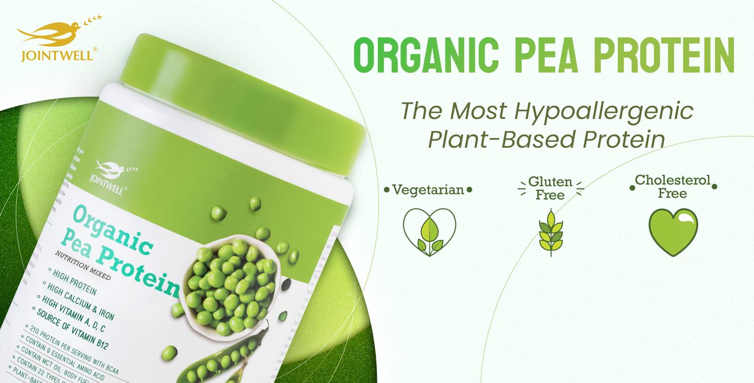 Organic Pea Protein Banner on homepage